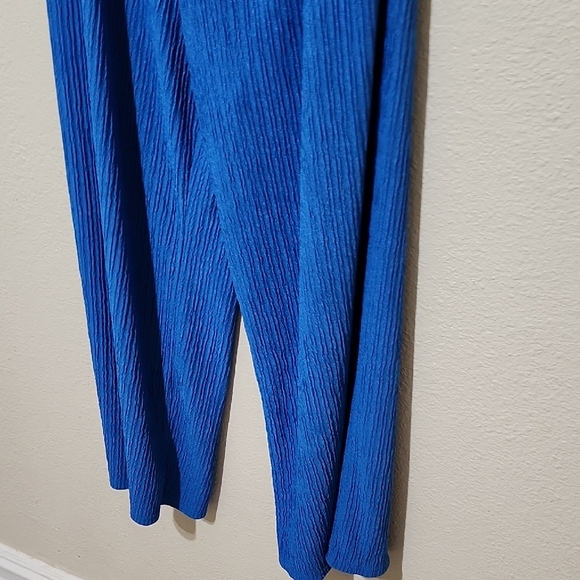 Wide Leg Blue Pants - Picture 6 of 9